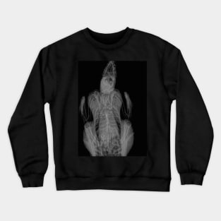 Rooster's X-ray Crewneck Sweatshirt